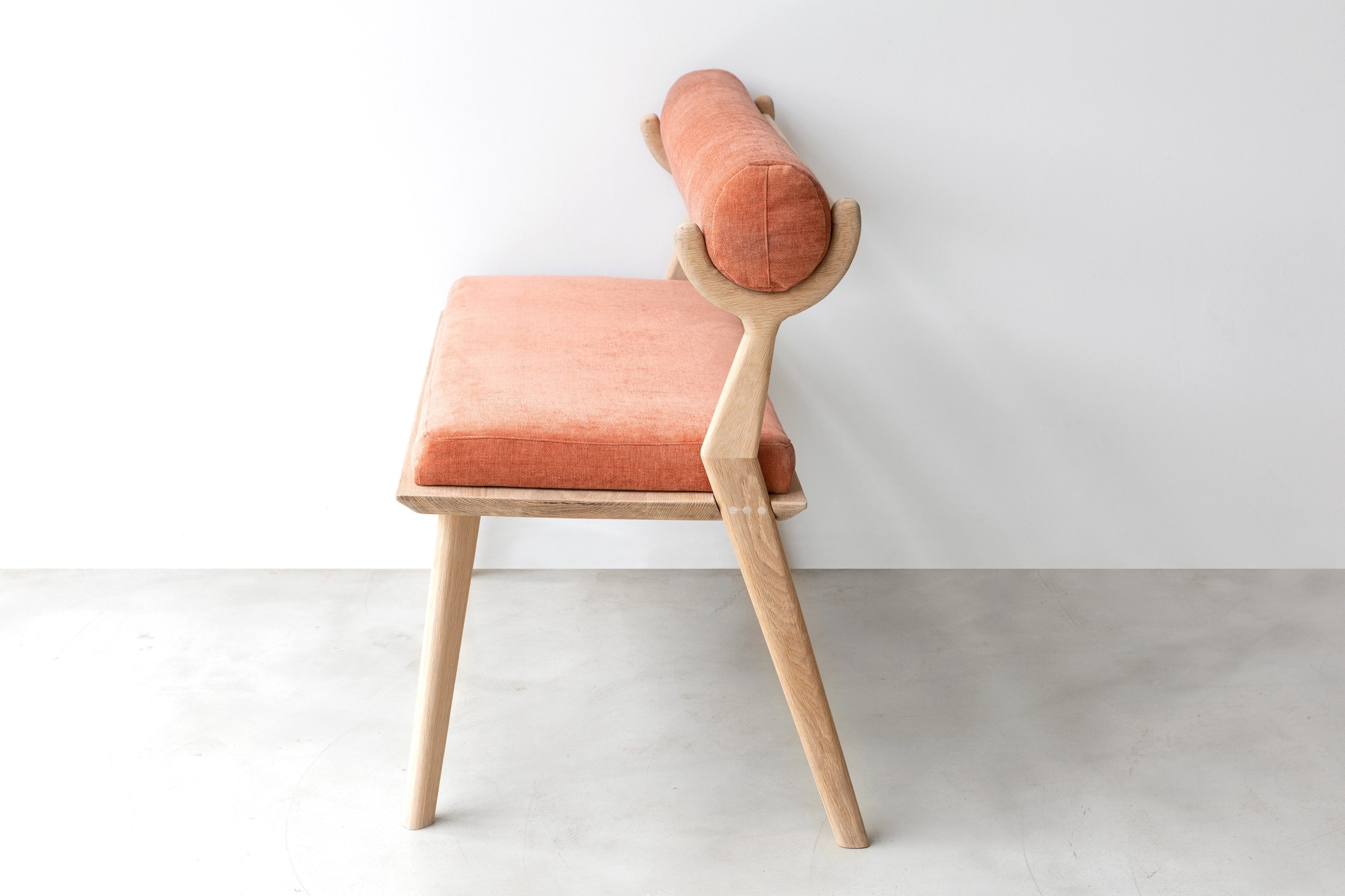 Chameleon Bench